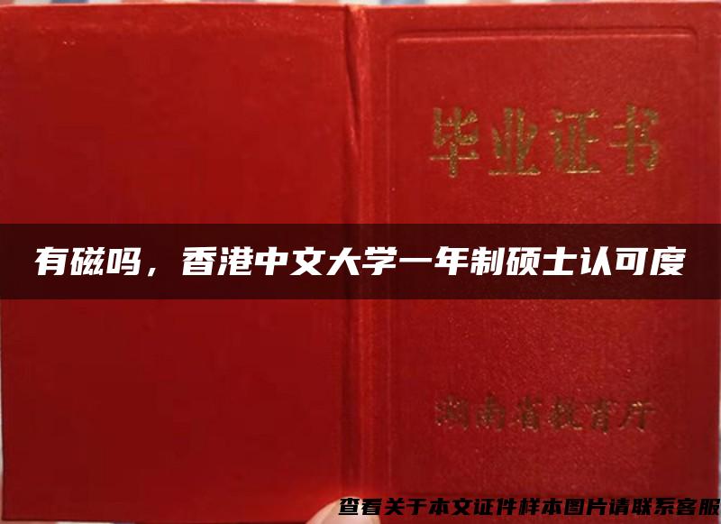 有磁嗎，香港中文大學一年制碩士認可度