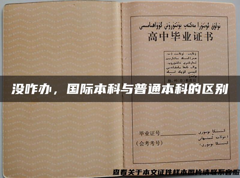 沒咋辦，國際本科與普通本科的區別