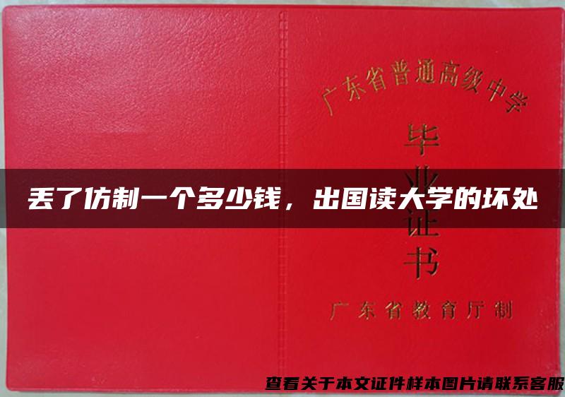 丟了仿制一個多少錢，出國讀大學的壞處