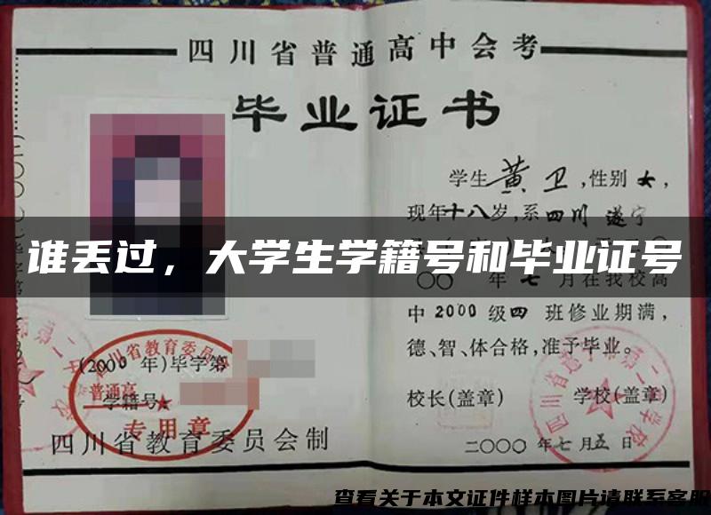 誰丟過，大學生學籍號和畢業證號