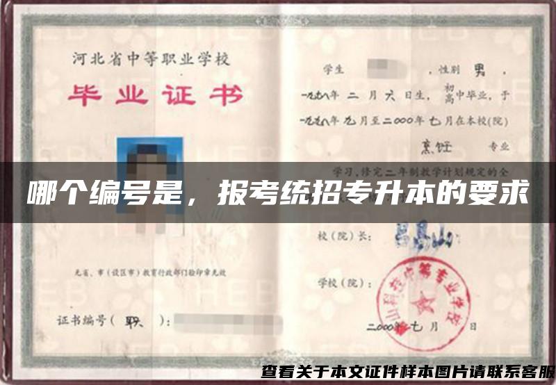 哪個編號是，報考統招專升本的要求