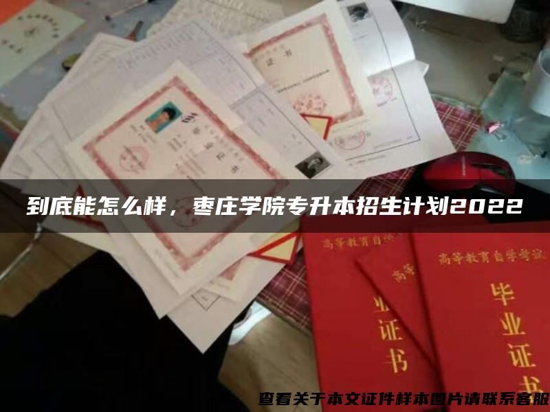 到底能怎么樣，棗莊學院專升本招生計劃2022