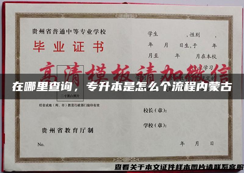 在哪里查詢，專升本是怎么個流程內蒙古