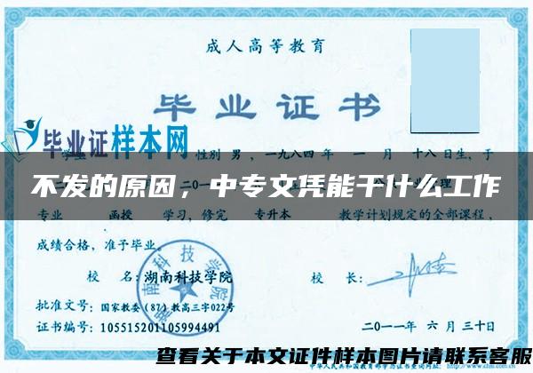 不發的原因，中專文憑能干什么工作