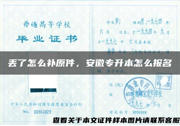 丟了怎么補原件，安徽專升本怎么報名