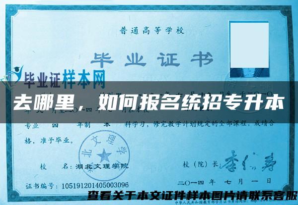 去哪里，如何報名統招專升本