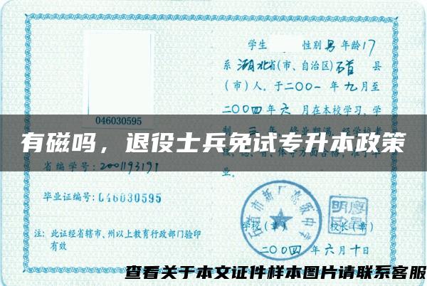 有磁嗎，退役士兵免試專升本政策