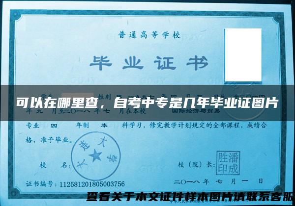 可以在哪里查，自考中專是幾年畢業證圖片