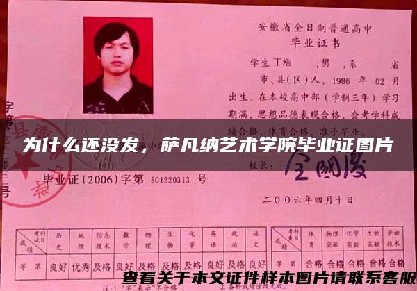 為什么還沒發，薩凡納藝術學院畢業證圖片
