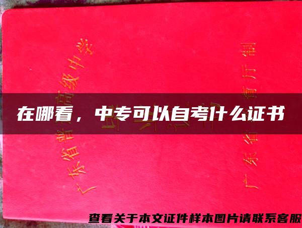 在哪看，中?？梢宰钥际裁醋C書