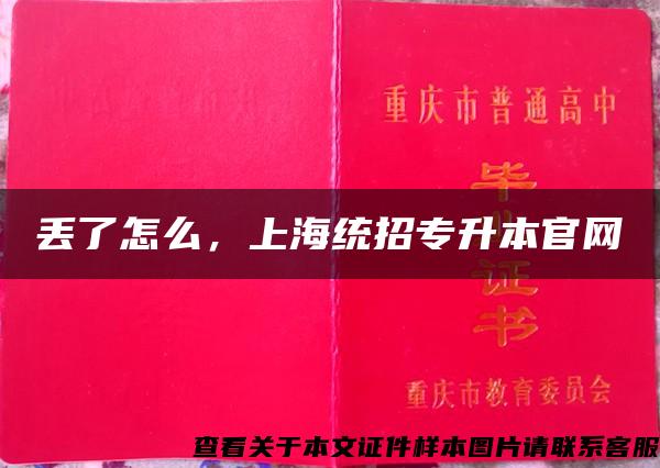 丟了怎么，上海統招專升本官網