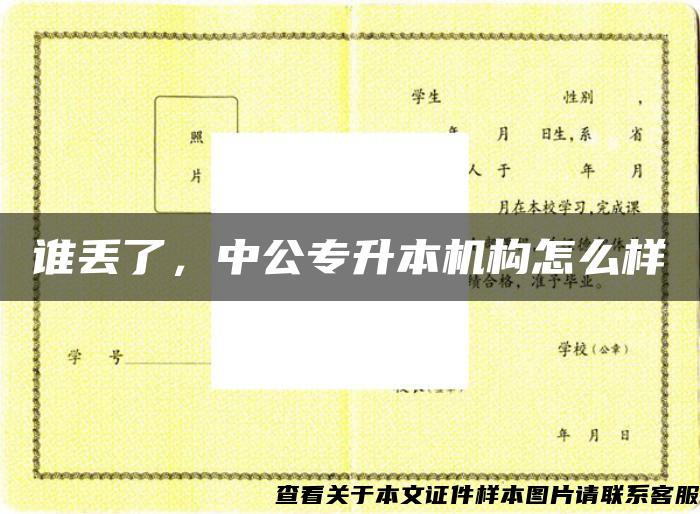 誰丟了，中公專升本機構怎么樣