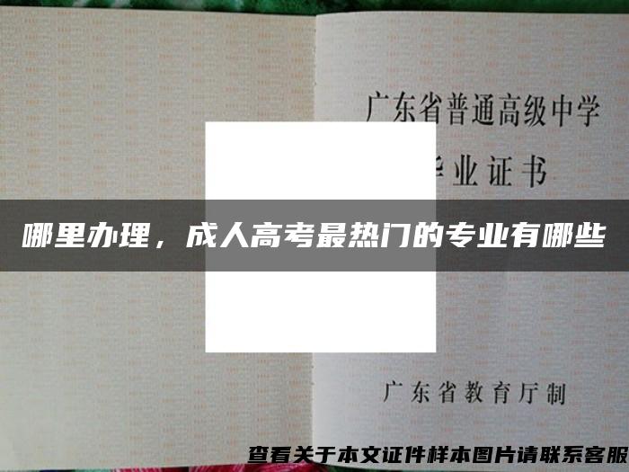 哪里辦理，成人高考最熱門的專業有哪些