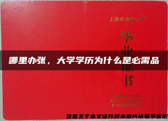 哪里辦張，大學學歷為什么是必需品