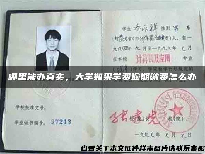 哪里能辦真實，大學如果學費逾期繳費怎么辦