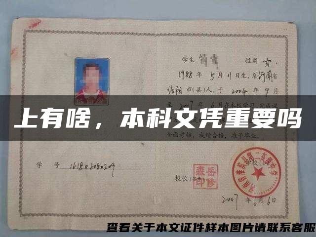上有啥，本科文憑重要嗎