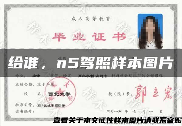 給誰，n5駕照樣本圖片