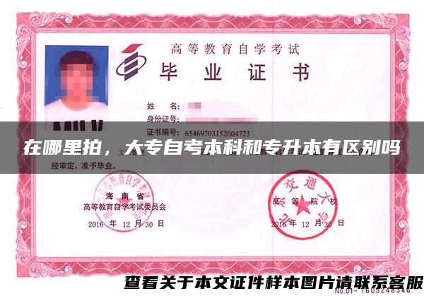 在哪里拍，大專自考本科和專升本有區別嗎