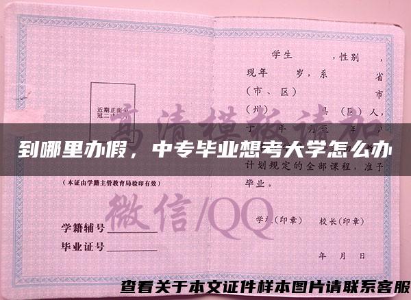 到哪里辦假，中專畢業想考大學怎么辦