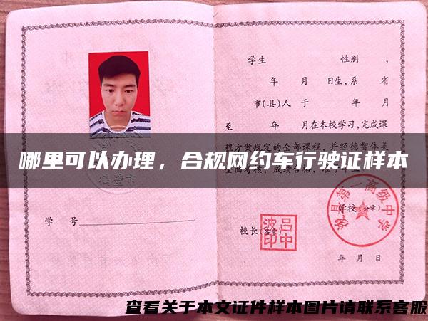 哪里可以辦理，合規網約車行駛證樣本