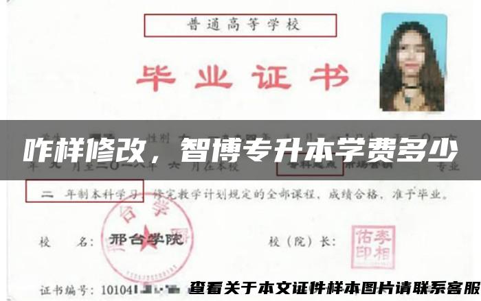 咋樣修改，智博專升本學費多少