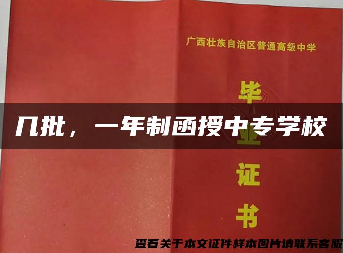 幾批，一年制函授中專學校