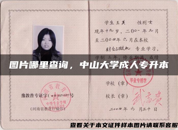 圖片哪里查詢，中山大學成人專升本