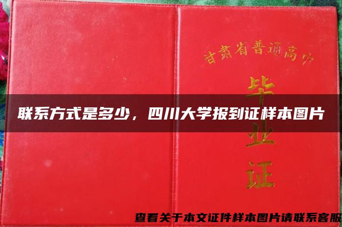 聯系方式是多少，四川大學報到證樣本圖片