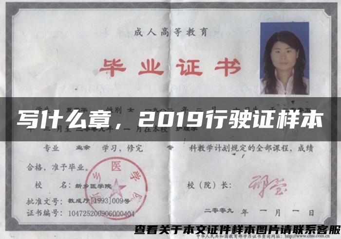 寫什么章，2019行駛證樣本