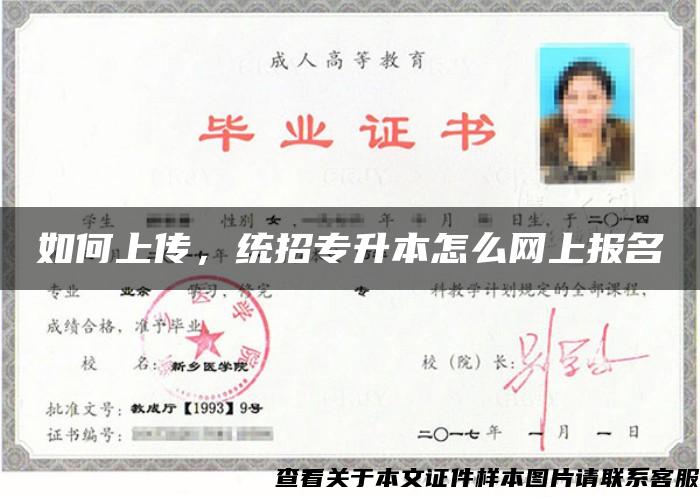 如何上傳，統招專升本怎么網上報名