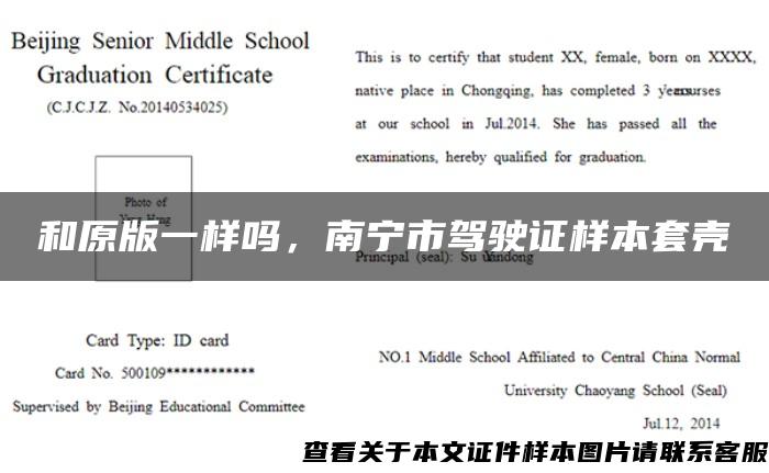 和原版一樣嗎，南寧市駕駛證樣本套殼