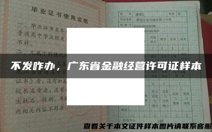 不發咋辦，廣東省金融經營許可證樣本