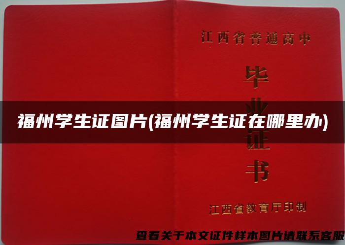 福州學生證圖片(福州學生證在哪里辦)