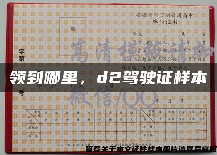 領到哪里，d2駕駛證樣本