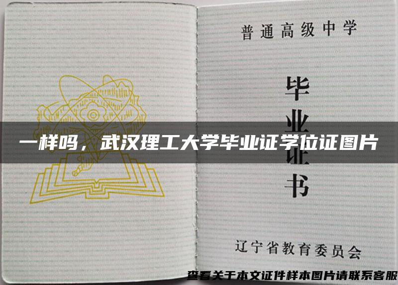 一樣嗎，武漢理工大學畢業證學位證圖片
