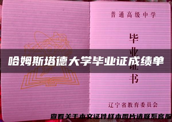 哈姆斯塔德大學畢業證成績單