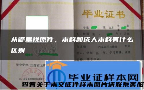 從哪里找原件，本科和成人本科有什么區別