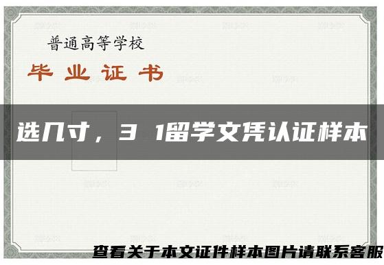 選幾寸，3 1留學文憑認證樣本