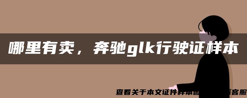 哪里有賣，奔馳glk行駛證樣本