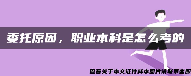 委托原因，職業本科是怎么考的