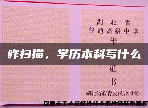 咋掃描，學歷本科寫什么