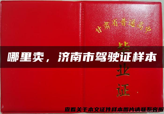 哪里賣，濟南市駕駛證樣本