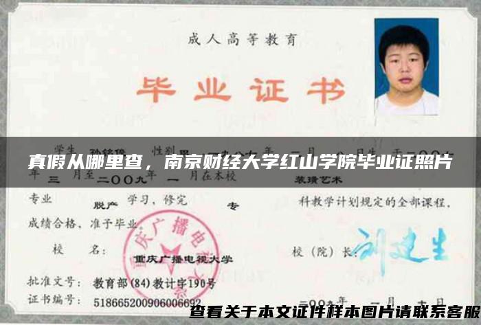 真假從哪里查，南京財經大學紅山學院畢業證照片