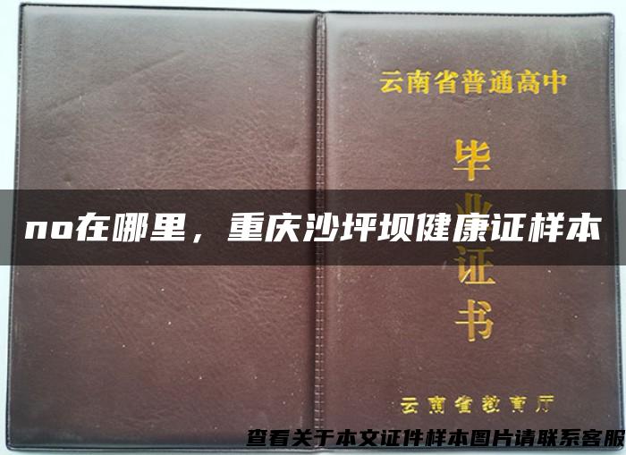 no在哪里，重慶沙坪壩健康證樣本