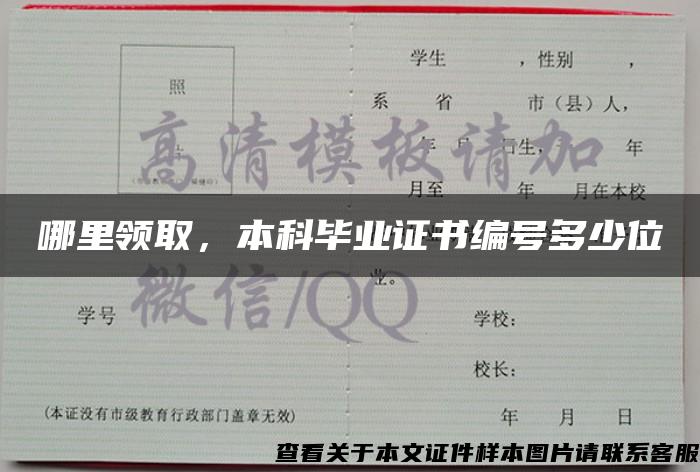 哪里領取，本科畢業證書編號多少位