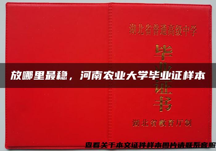 放哪里最穩，河南農業大學畢業證樣本