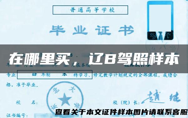 在哪里買，遼B駕照樣本