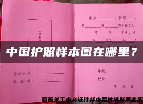 中國護照樣本圖在哪里？