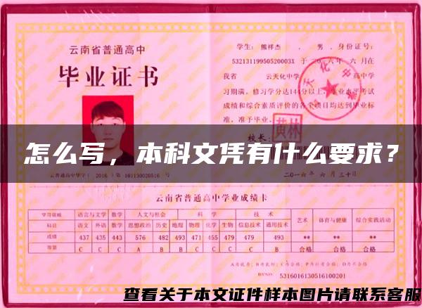 怎么寫，本科文憑有什么要求？