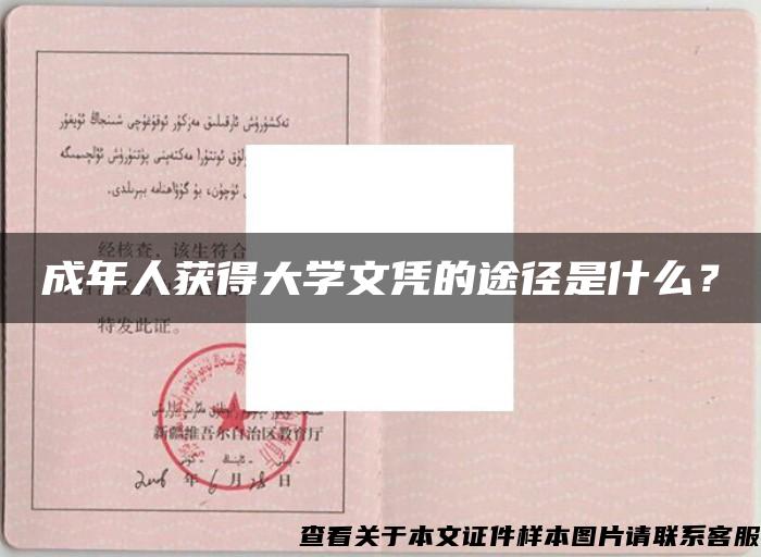 成年人獲得大學文憑的途徑是什么？